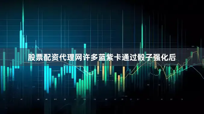 股票配资代理网许多蓝紫卡通过骰子强化后