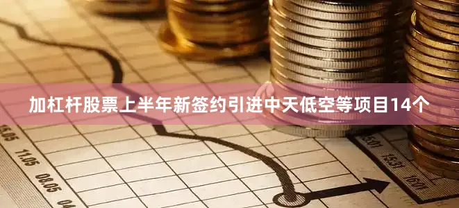 加杠杆股票上半年新签约引进中天低空等项目14个