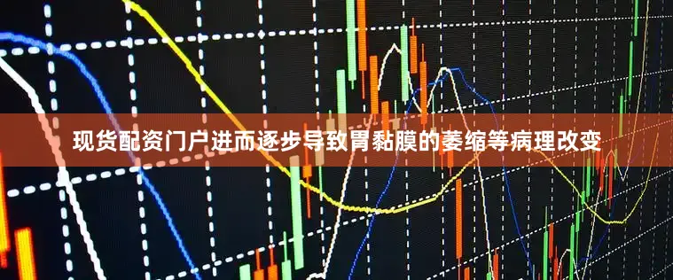 现货配资门户进而逐步导致胃黏膜的萎缩等病理改变