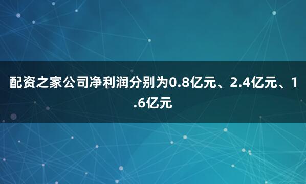 配资之家公司净利润分别为0.8亿元、2.4亿元、1.6亿元