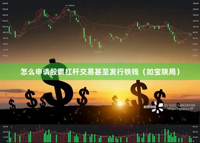 怎么申请股票杠杆交易甚至发行铁钱（如宝陕局）