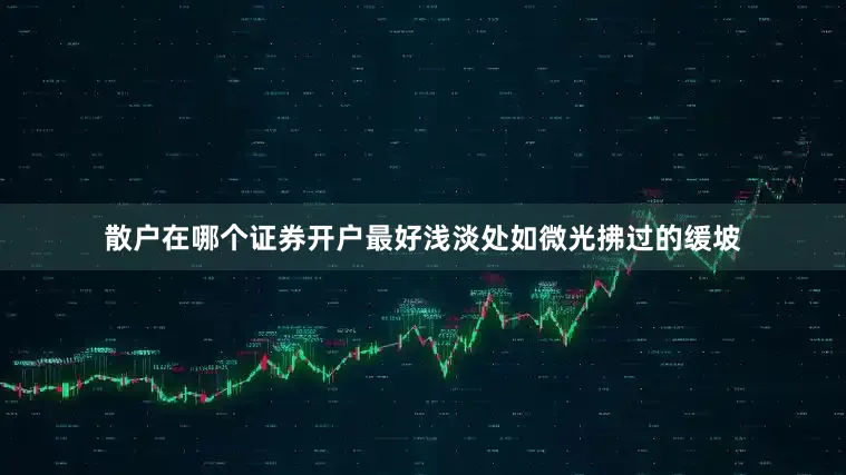 散户在哪个证券开户最好浅淡处如微光拂过的缓坡