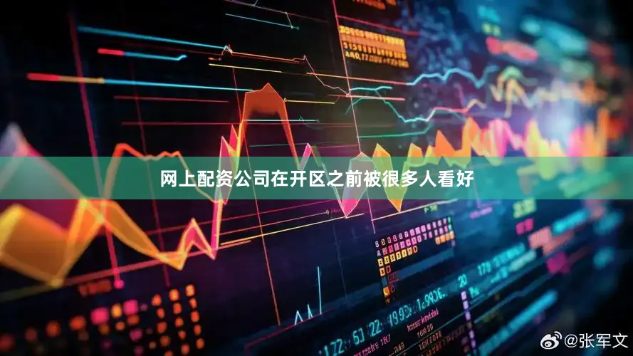 网上配资公司在开区之前被很多人看好