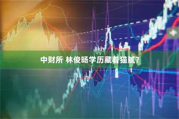 中财所 林俊旸学历藏着猫腻？