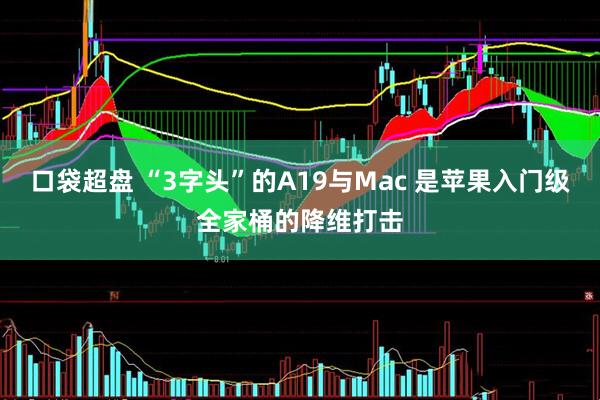 口袋超盘 “3字头”的A19与Mac 是苹果入门级全家桶的降维打击