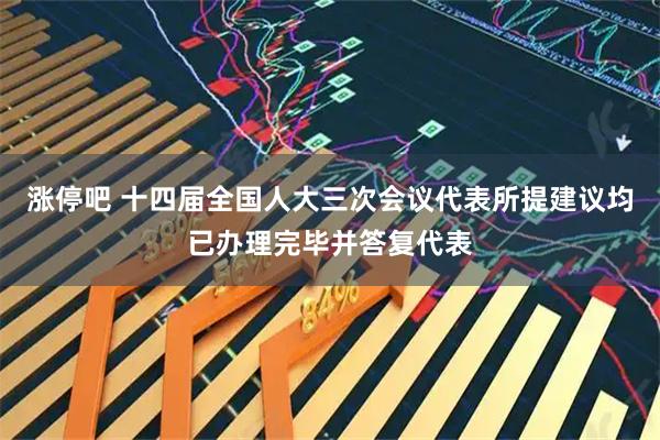 涨停吧 十四届全国人大三次会议代表所提建议均已办理完毕并答复代表
